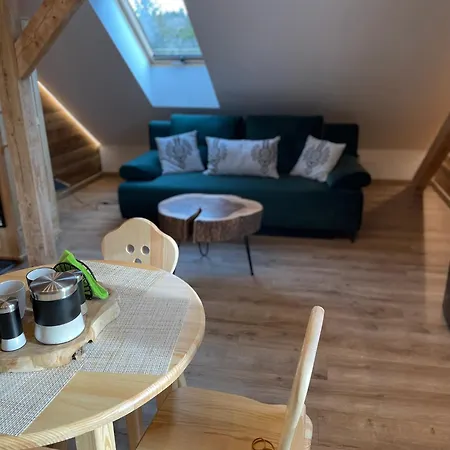 Apartamenty Krysin Zakopane Exterior photo